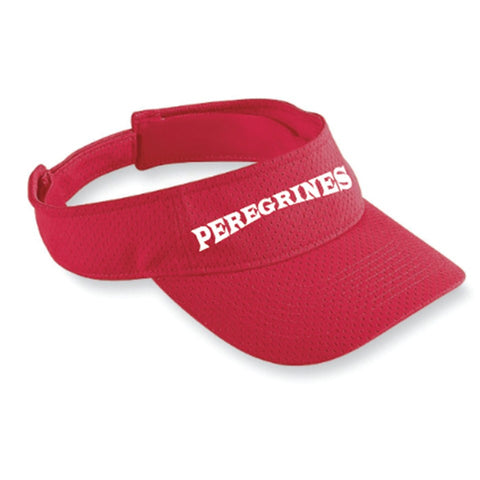 Team Visor