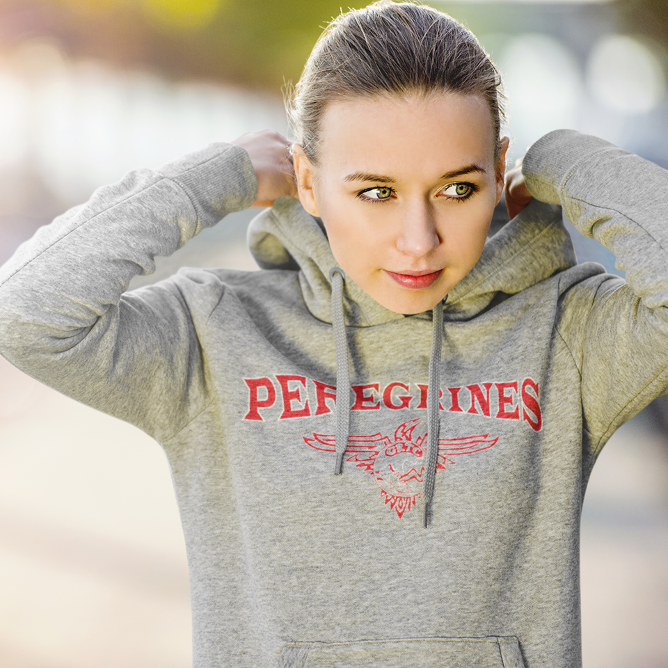Gray Team Hoodie
